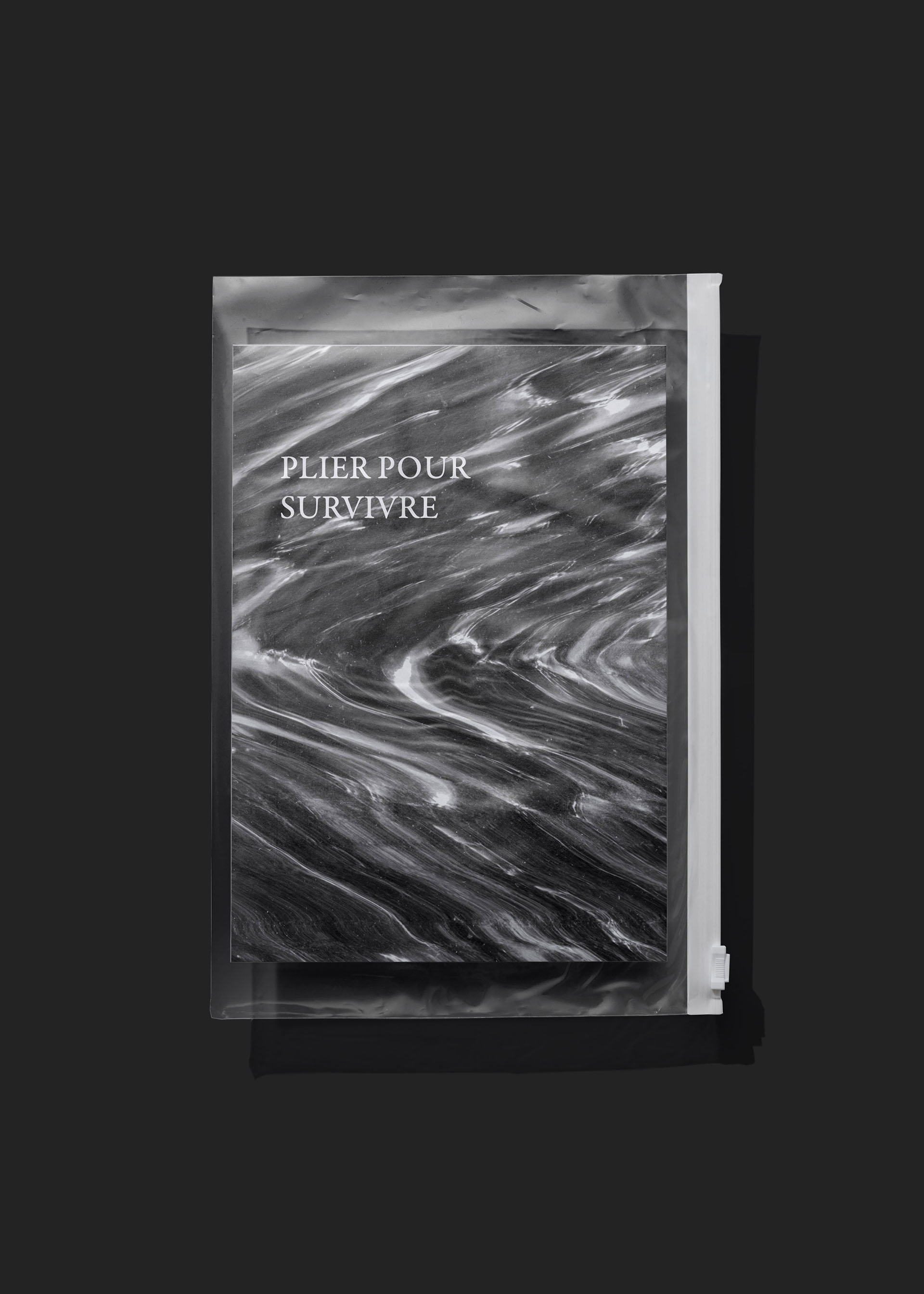 Projet typographie – livre